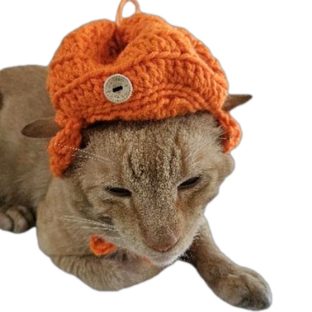 Handmade Halloween Crochet Pumpkin Hat for Cats or Small Dogs – Fall Pet Costume - Picture 9 of 16